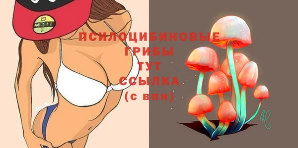 гашик Дмитриев