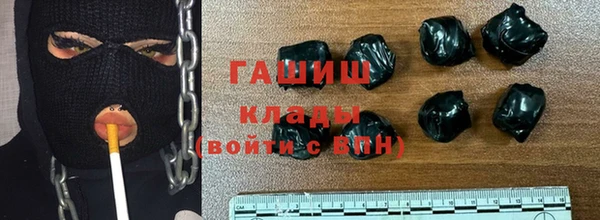 гашик Дмитриев