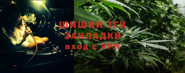 гашик Дмитриев