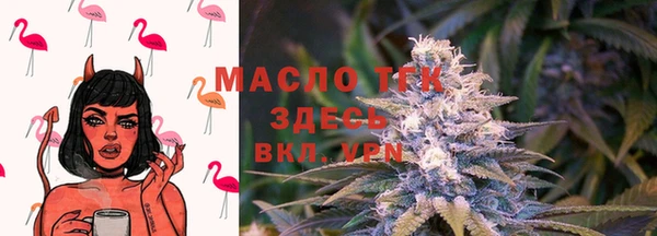 гашик Дмитриев