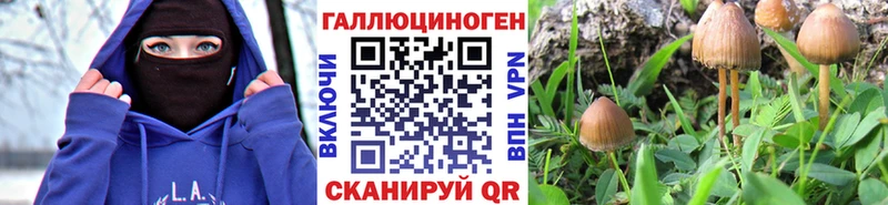 Псилоцибиновые грибы прущие грибы  Купить  Струнино 